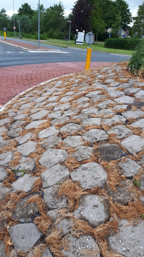 onkruid bestrijd met heet water