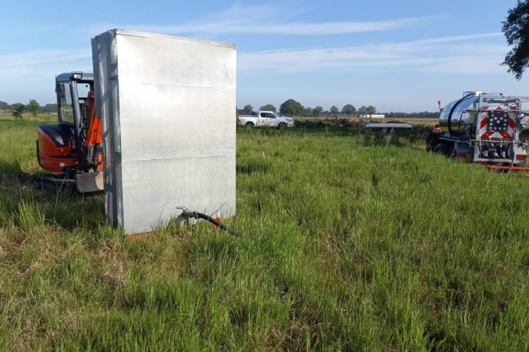 Gekookte Japanse Duizendknoop komt niet meer terug