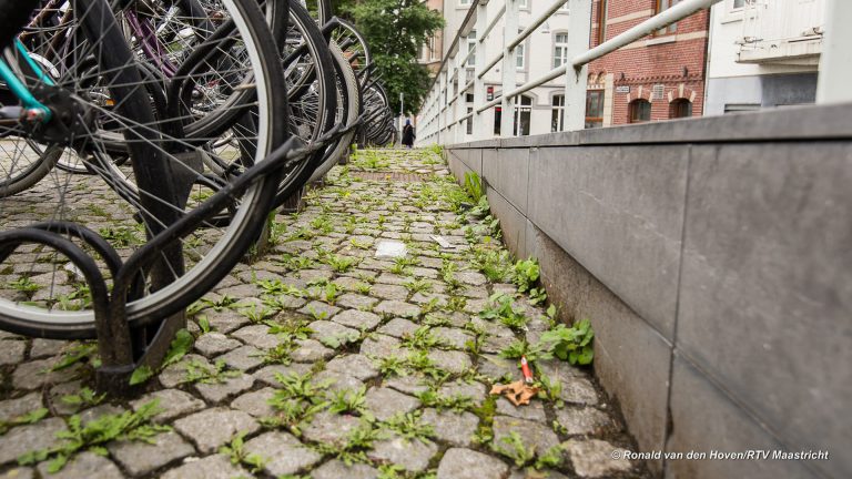 Heet water blijkt voor Gemeente Maastricht het beste middel van onkruidbestrijding